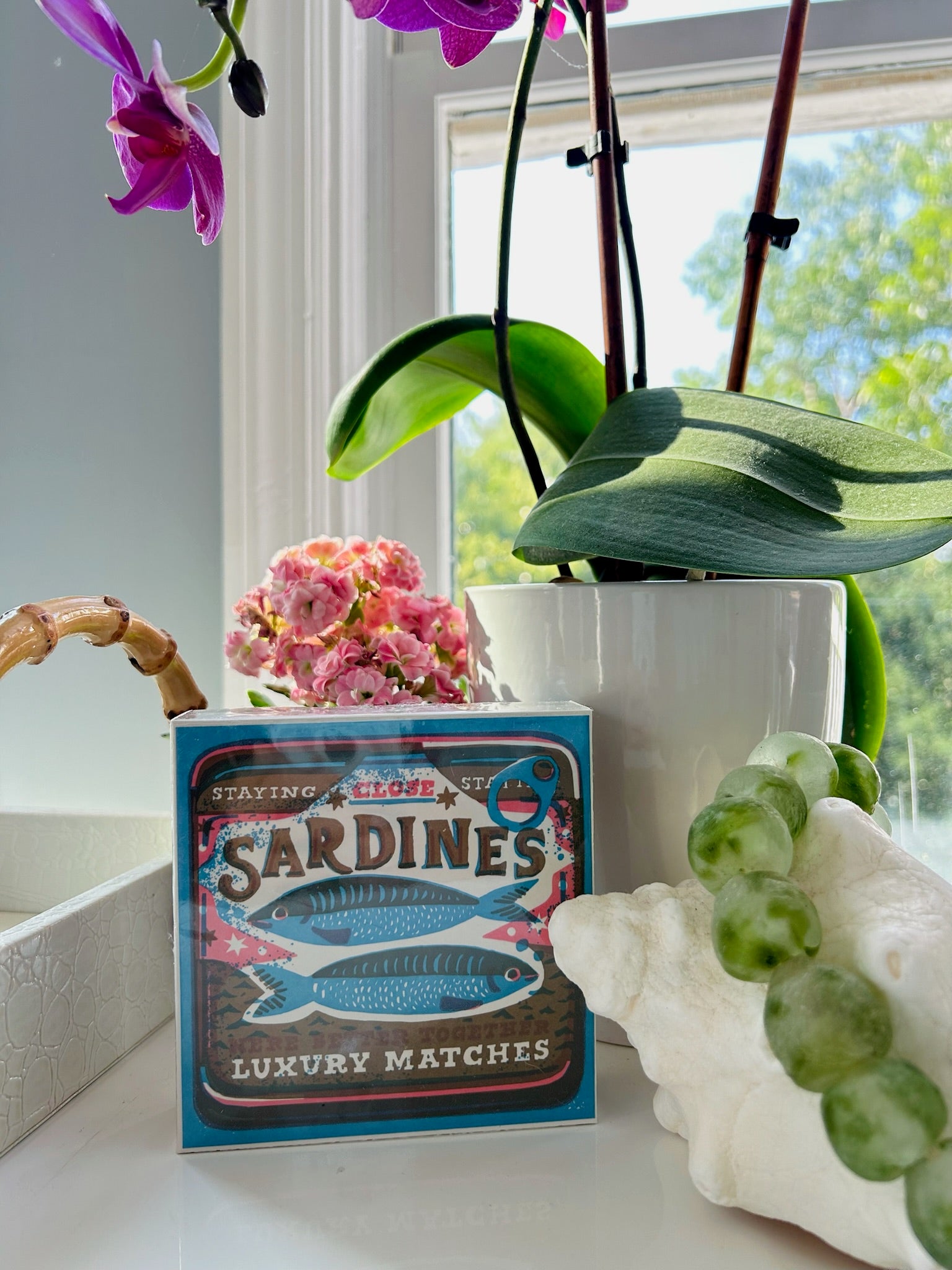 Sardines Safety Matches
