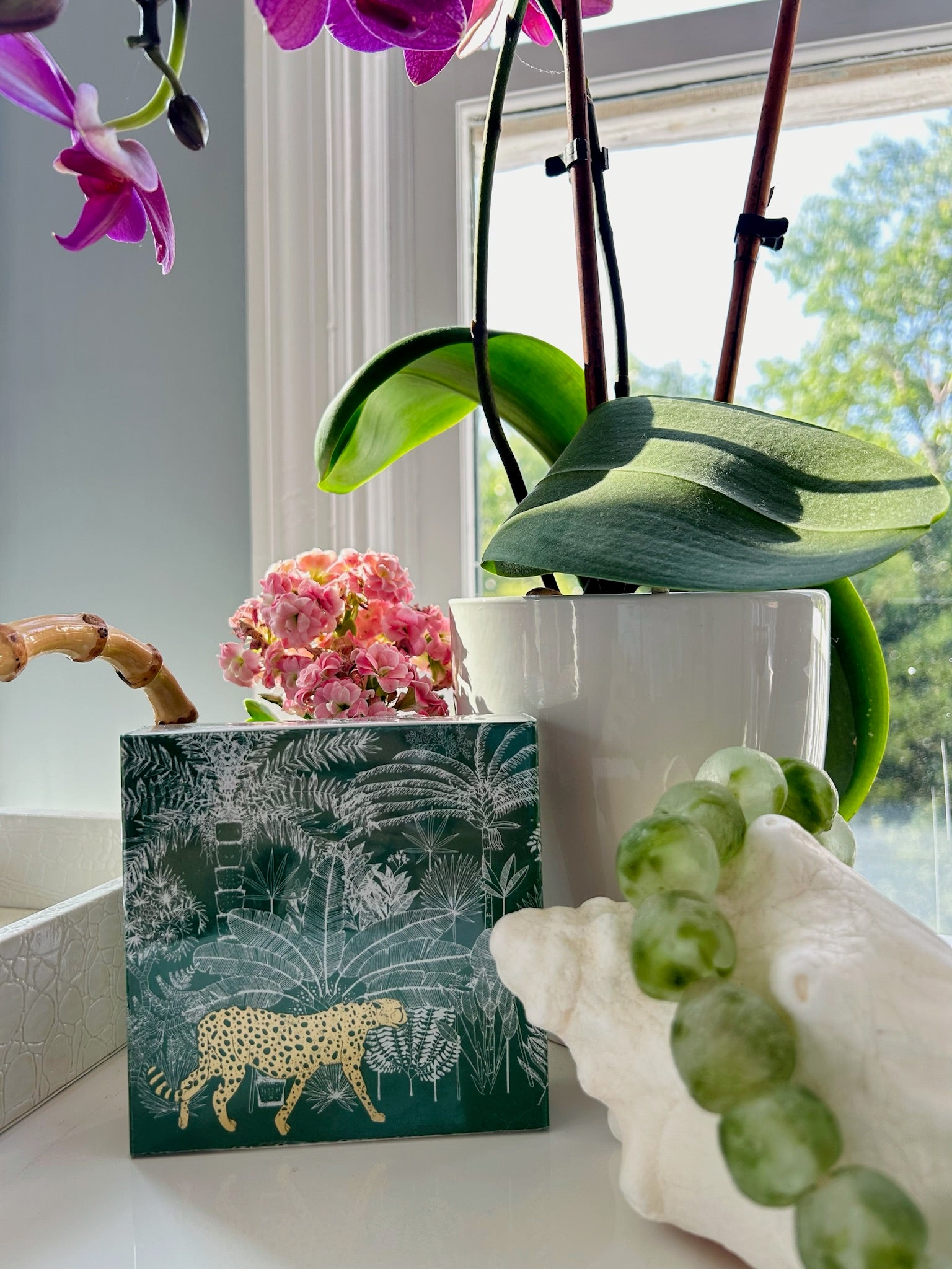 Cheetah in Jungle Matchbox