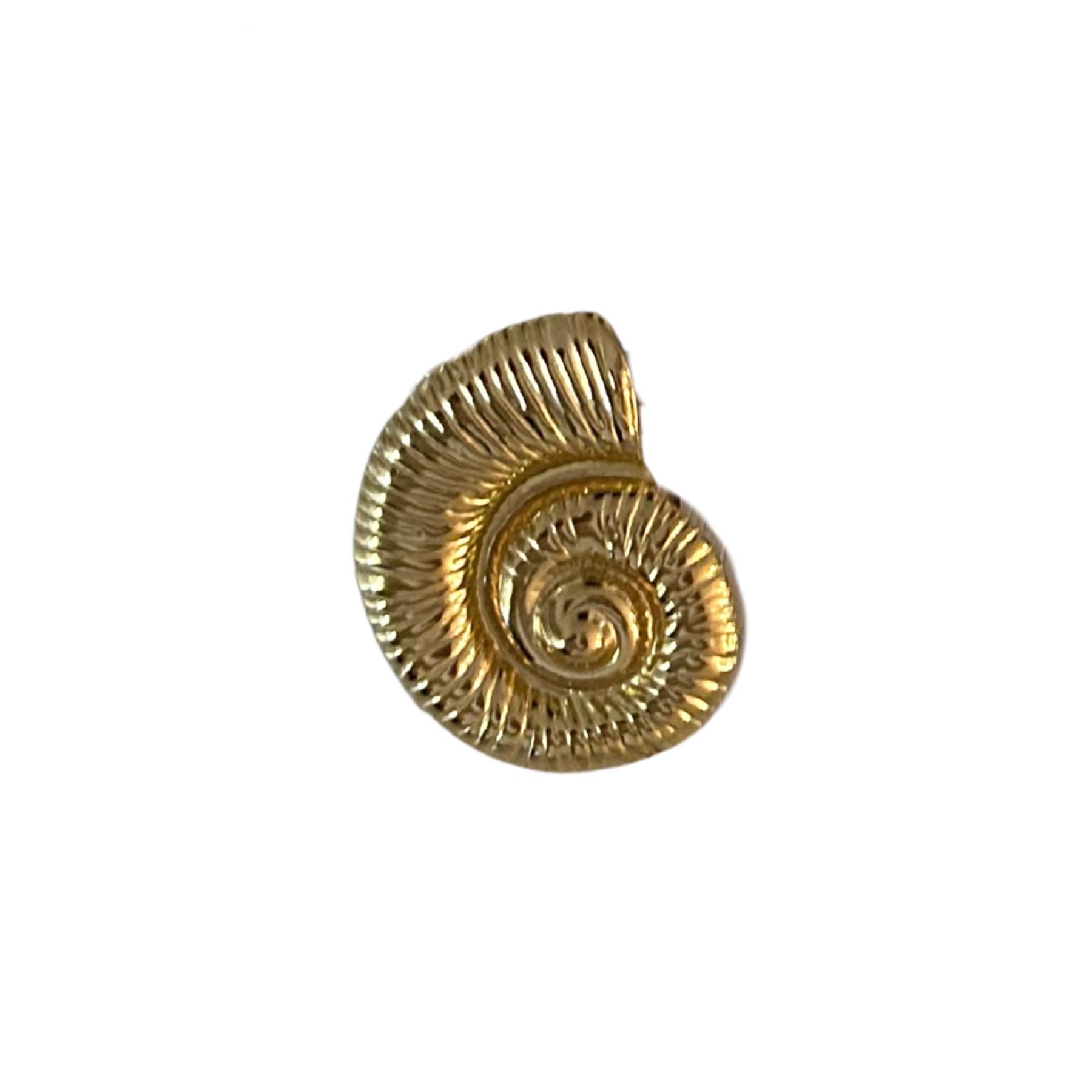 Spiral Shell Charm